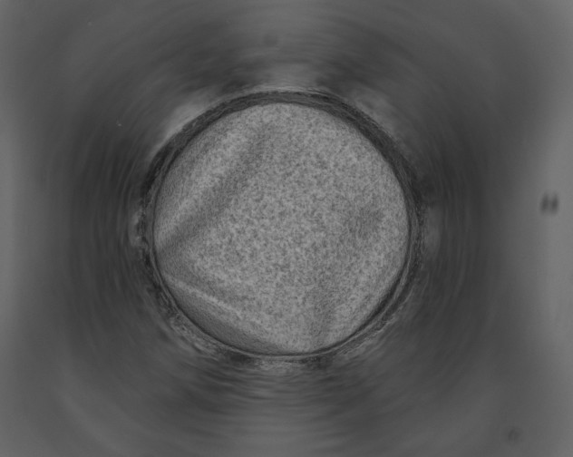 X0000090951258200708241120