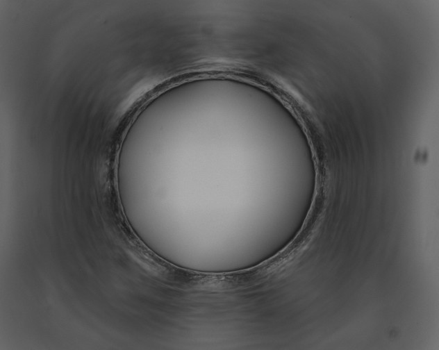 X0000090951259200708241120