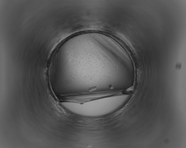 X0000090951260200708241120