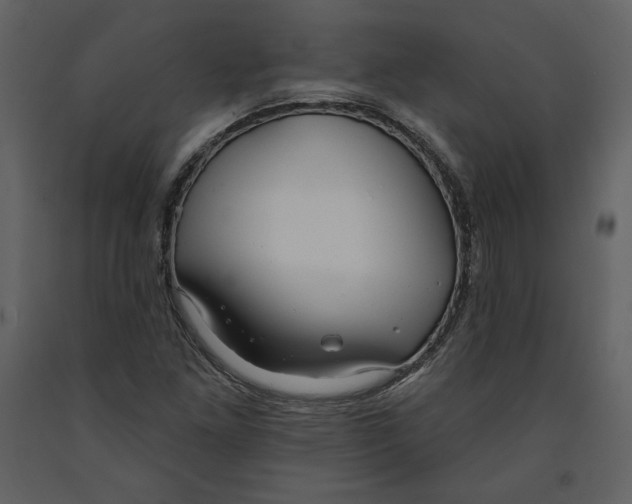 X0000090951261200708241120
