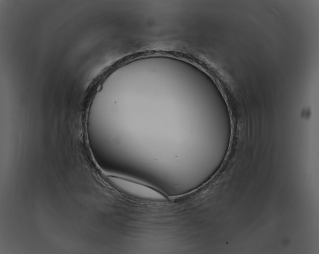 X0000090951262200708241120