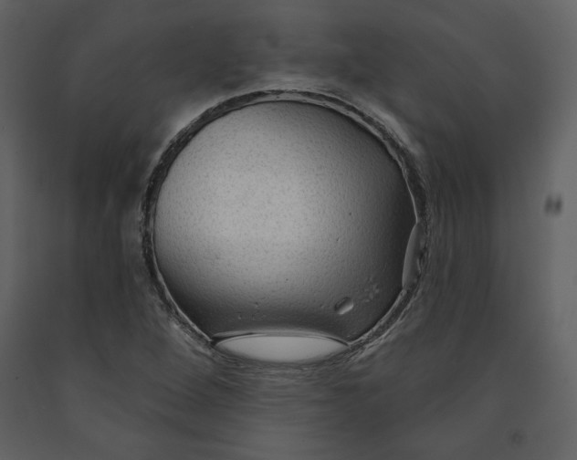 X0000090951264200708241120