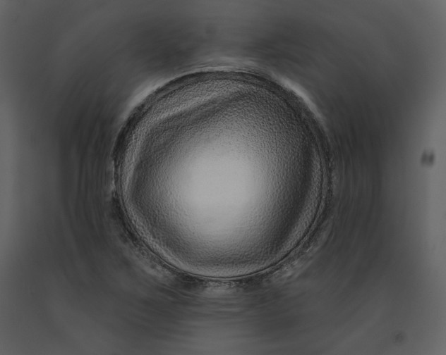 X0000090951267200708241120