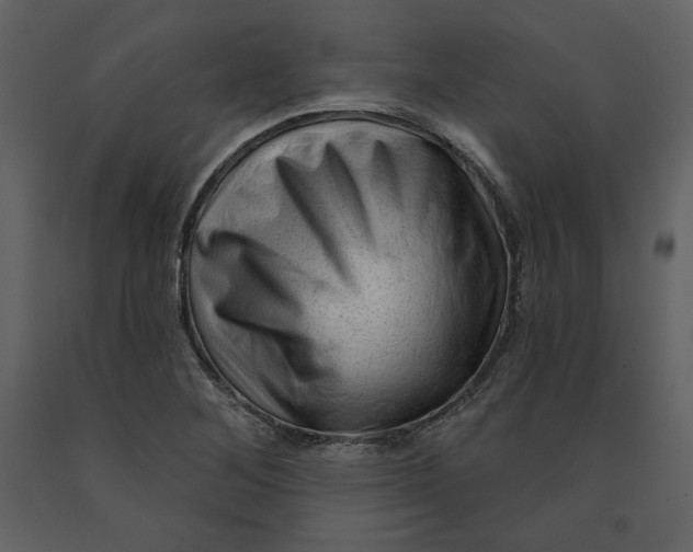 X0000090951268200708241120