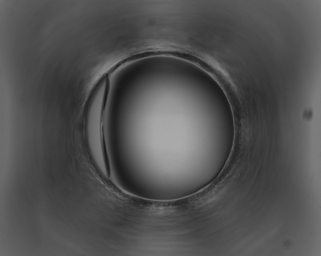 X0000090951269200708241120