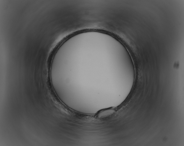 X0000090951270200708241120