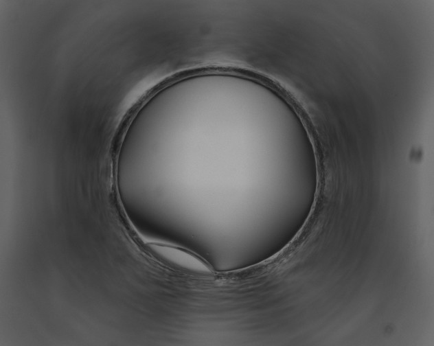 X0000090951271200708241120