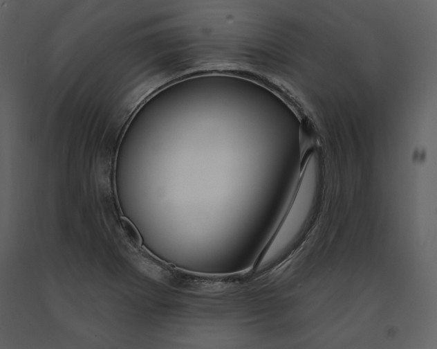 X0000090951273200708241120