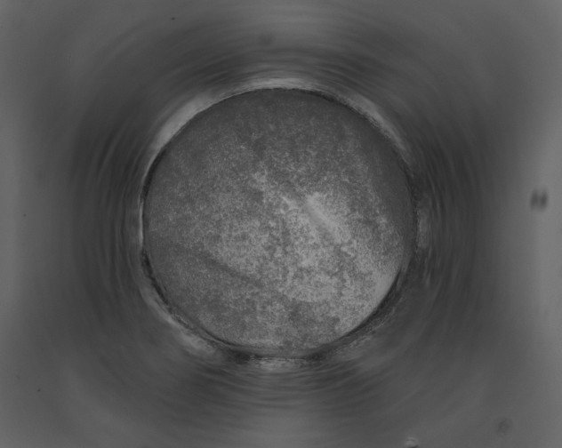 X0000090951274200708241120