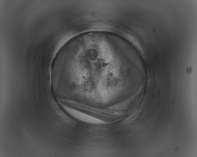 X0000090951275200708241120