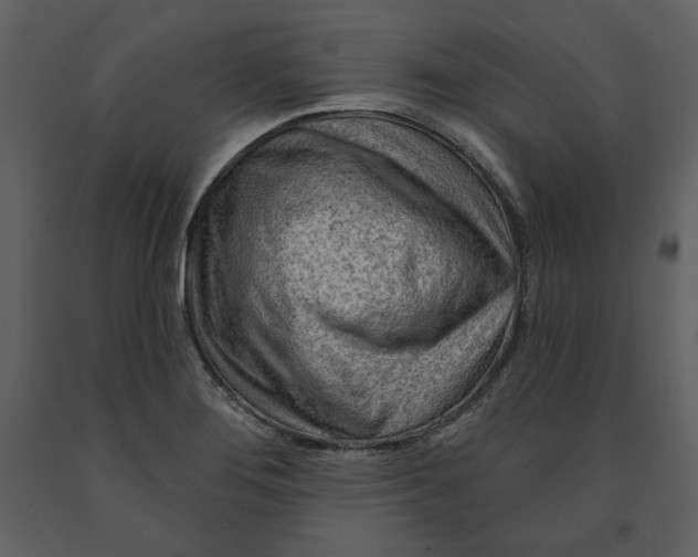 X0000090951276200708241120