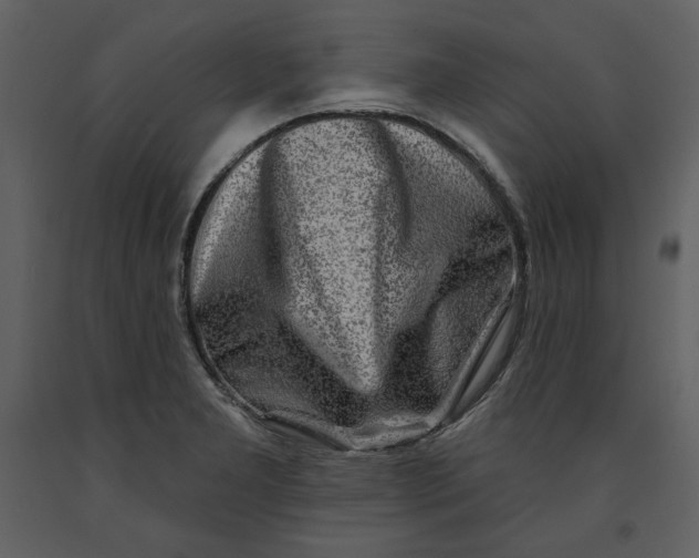 X0000090951277200708241120