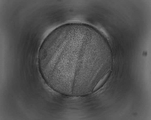 X0000090951279200708241119
