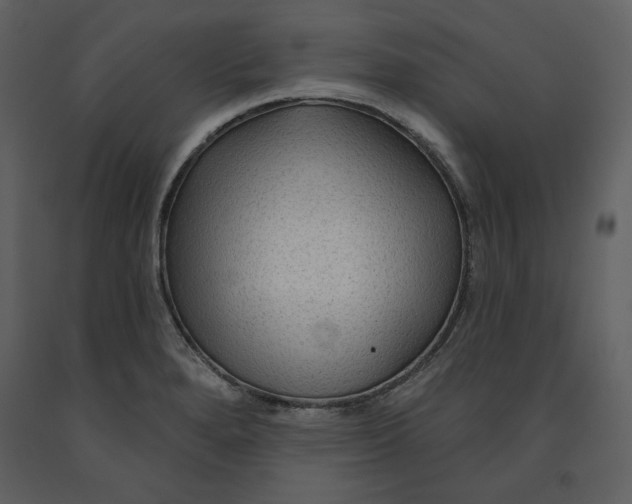 X0000090951280200708241119