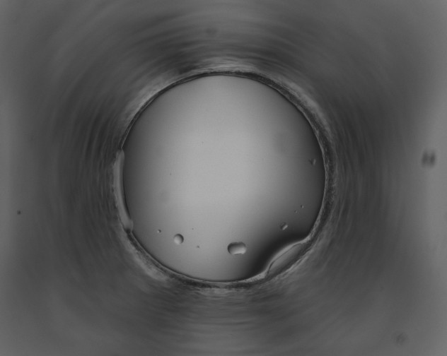 X0000090951281200708241119