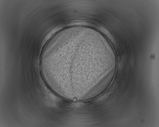 X0000090951282200708241119