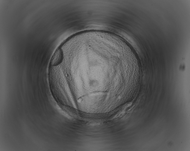 X0000090951283200708241119
