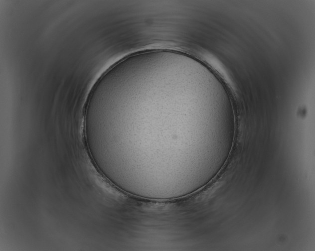 X0000090951284200708241119