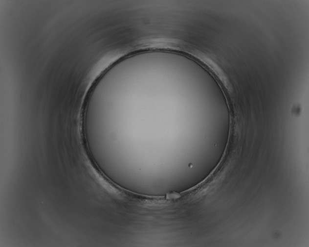 X0000090951285200708241119