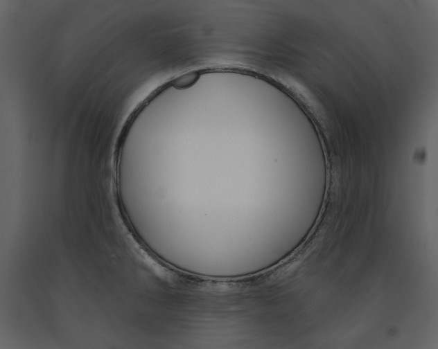 X0000090951286200708241119