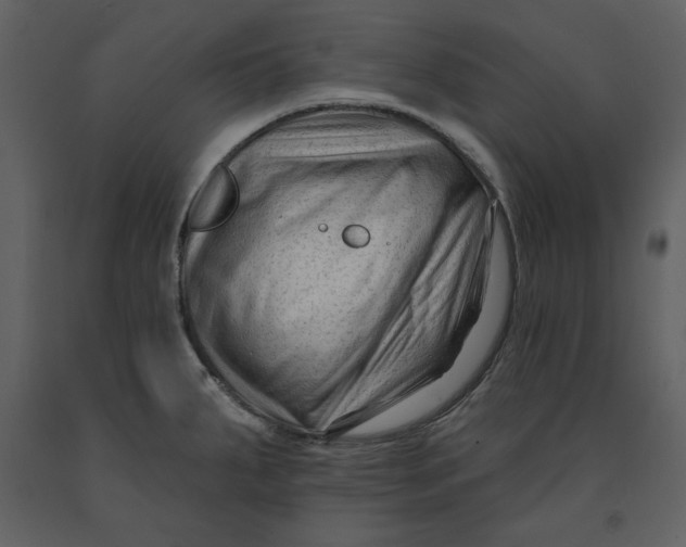 X0000090951287200708241119