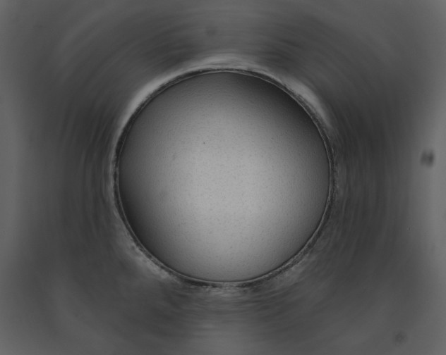 X0000090951288200708241119