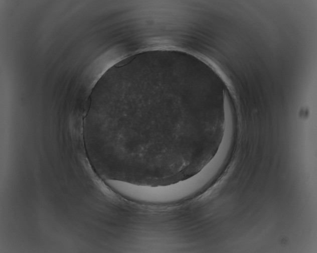 X0000090951289200708241119