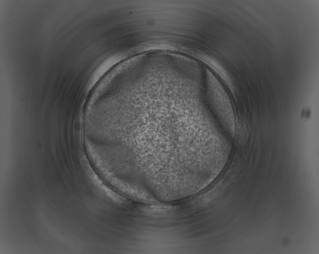 X0000090951290200708241119