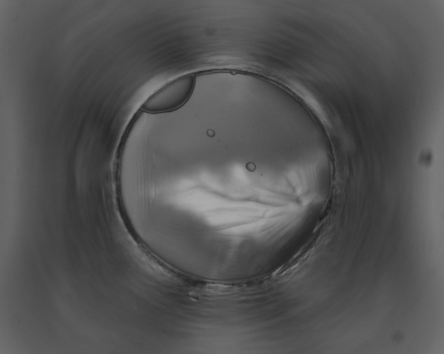 X0000090951291200708241119