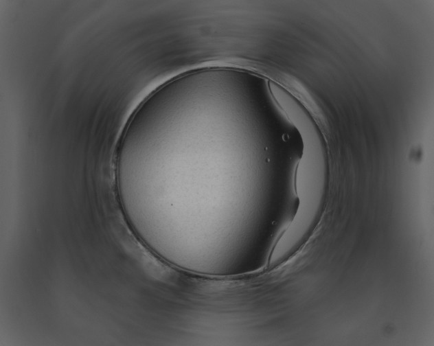 X0000090951292200708241119
