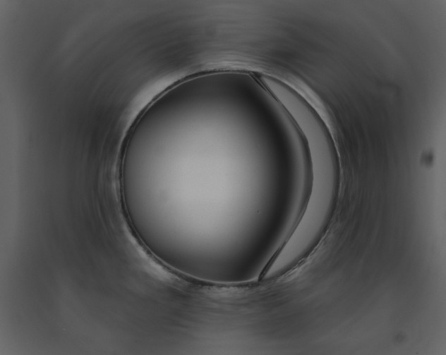 X0000090951293200708241119