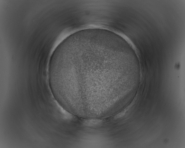 X0000090951294200708241119