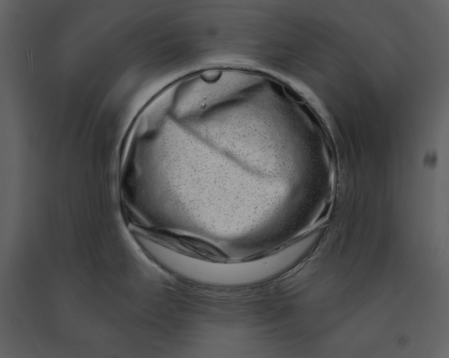 X0000090951295200708241119