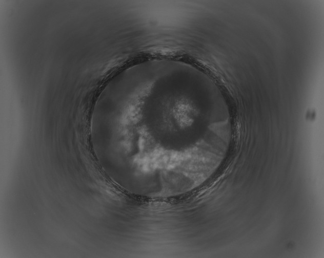 X0000090951297200708241118