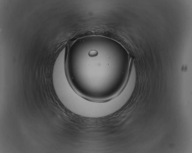 X0000090951298200708241118