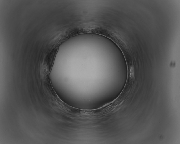 X0000090951299200708241118