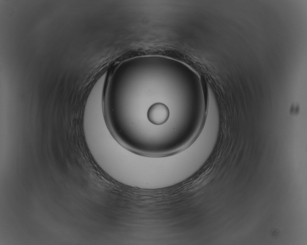 X0000090951300200708241118