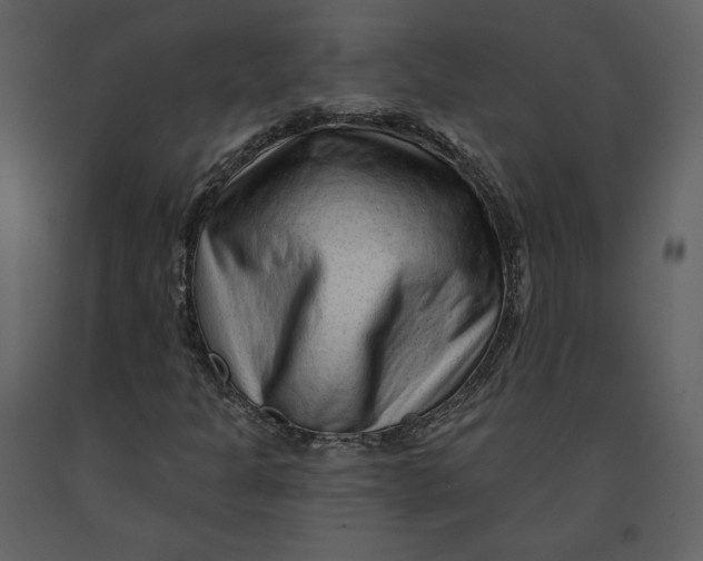 X0000090951301200708241118