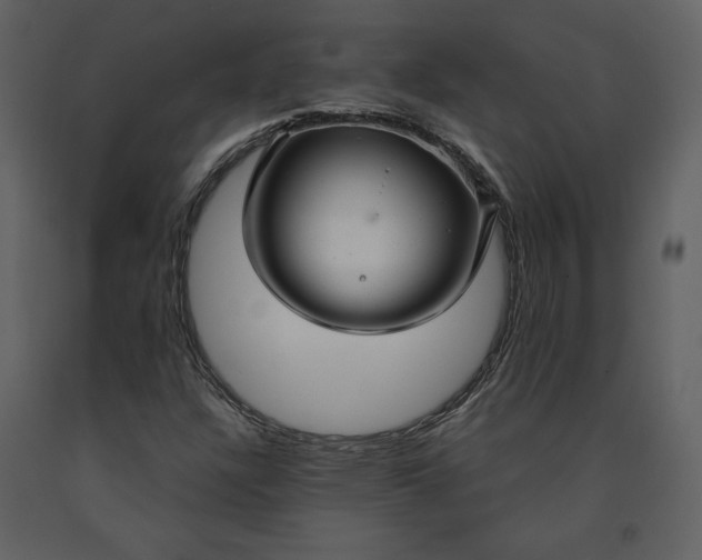 X0000090951304200708241118