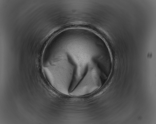 X0000090951305200708241118