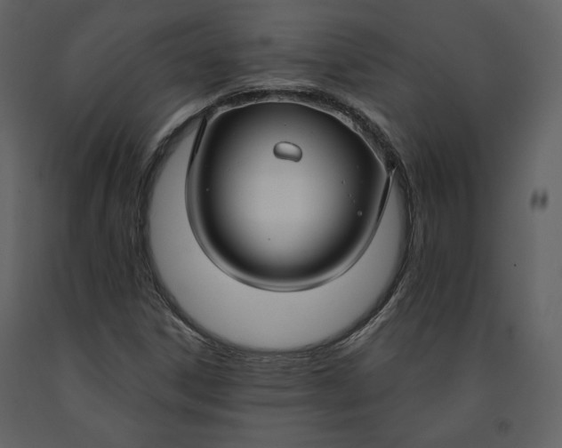 X0000090951306200708241118