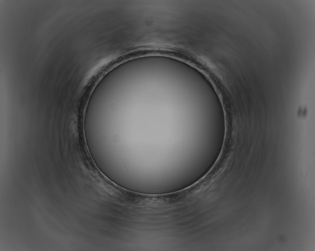 X0000090951307200708241118