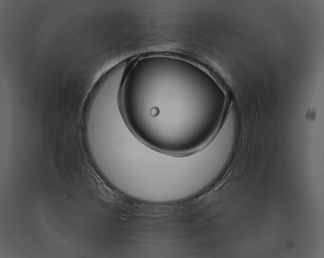 X0000090951308200708241118