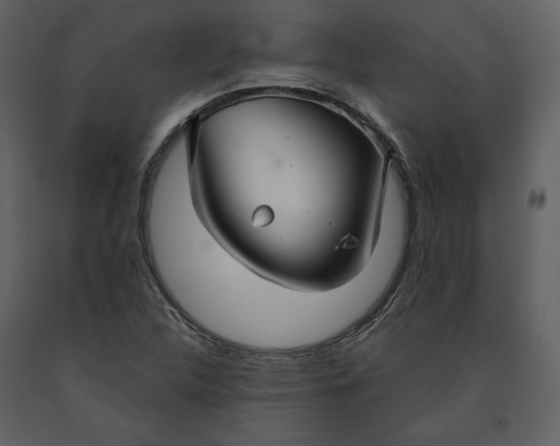 X0000090951312200708241118