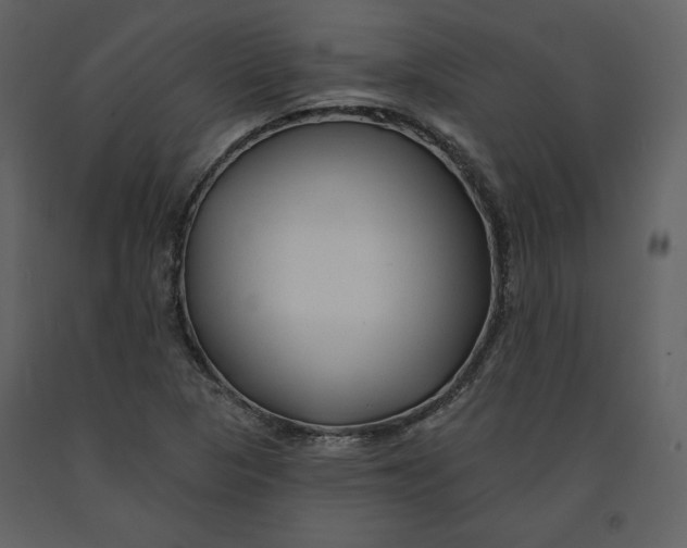 X0000090951313200708241118