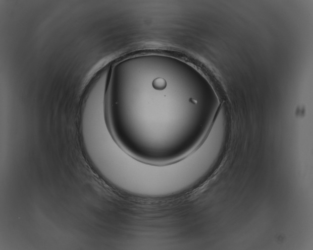 X0000090951314200708241118