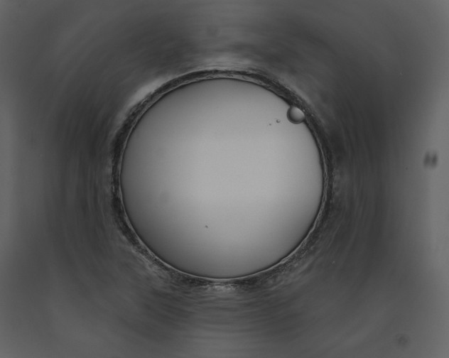 X0000090951315200708241118
