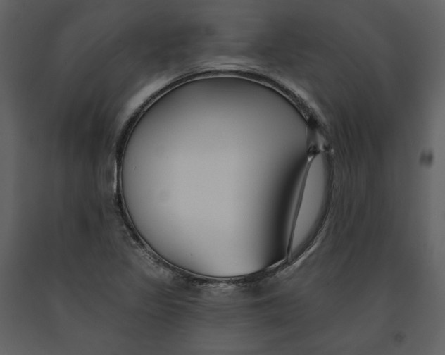 X0000090951317200708241119