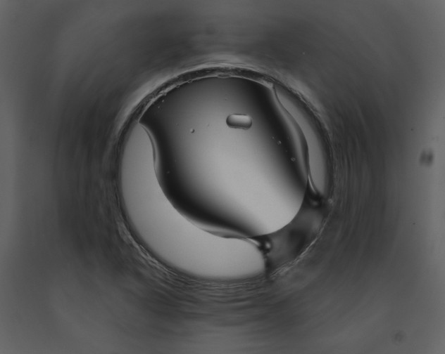 X0000090951318200708241119