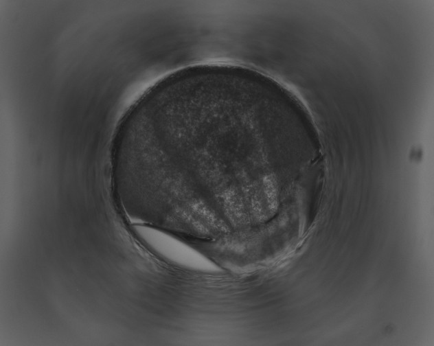 X0000090951319200708241119